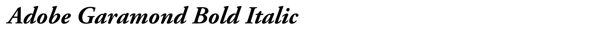Adobe Garamond Bold Italic image